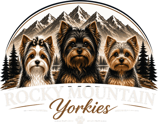 Rocky Mountain Yorkies