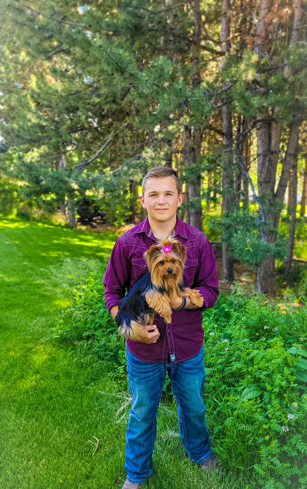 Rocky Mountain Yorkies — photo 3
