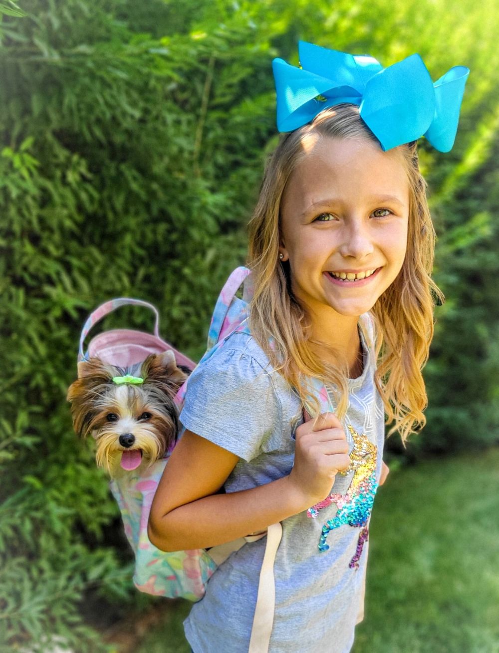 Rocky Mountain Yorkies — photo 19